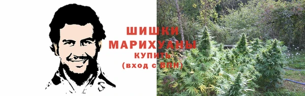 хмурый Абаза