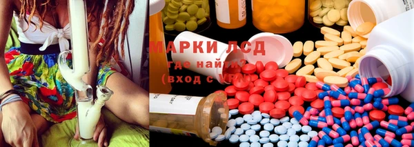 хмурый Абаза