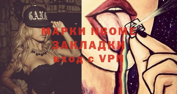 хмурый Абаза