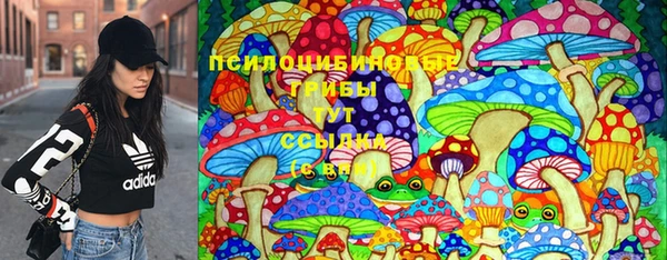 хмурый Абаза