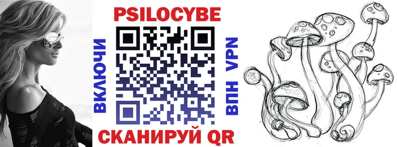 Псилоцибиновые грибы Cubensis  Советск 
